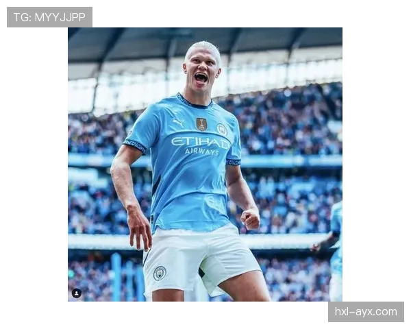 哈兰德数据含金量：效率与体系依赖如何体现